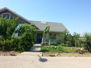 Hotels in Kidmat Tsvi